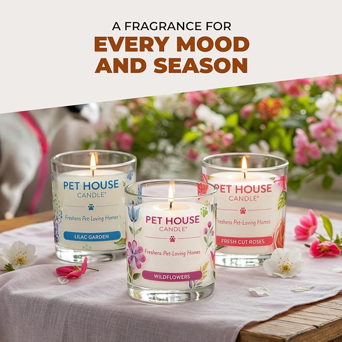 One Fur All Pet House Fall Candles, Long Lasting, Clean Burning, Soy Wax - Image 8