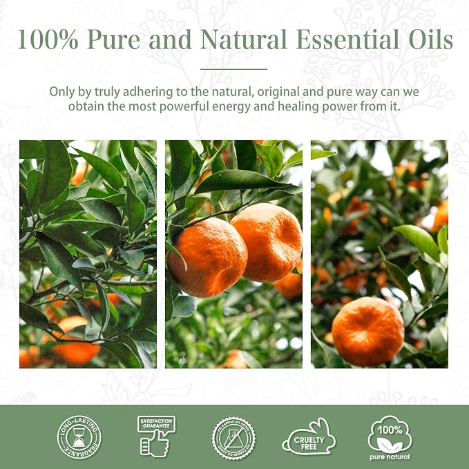 Tangerine 1.01fl.oz Essential Oil, PHATOIL Pure Aromatherapy Oils - Image 7
