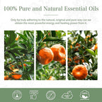 Tangerine 1.01fl.oz Essential Oil, PHATOIL Pure Aromatherapy Oils - Image 7