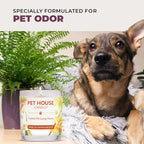 Pet House Candles, Scented Pet Friendly Candles, Clean Burning Plant-Based - Image 6