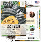 Seed Needs, Table King Acorn Winter Squash Seeds - Image 6