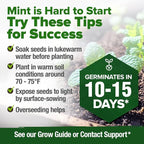 HOME GROWN Non GMO Common Mint Seeds 1, 800 Heirloom Herb Seeds, USA Sourced | - Image 8