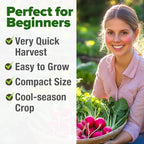 HOME GROWN Cherry Belle Radish Seeds 800+ Heirloom Non-GMO Seeds - Image 4