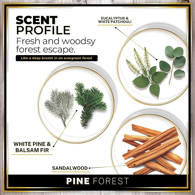 Urban Naturals Car Air Freshener Pine Forest Scent Diffuser, Long Lasting Car - Image 4
