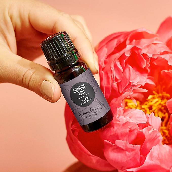 Edens Garden Angelica Root Essential Oil- 100% Pure Premium Grade, Therapeutic - Image 2