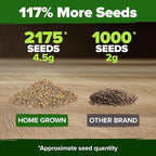 HOME GROWN Arugula Roquette Seeds 2, 175+ Heirloom Non-GMO Seeds - Image 3