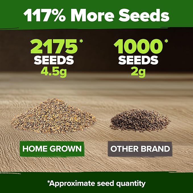 HOME GROWN Arugula Roquette Seeds 2, 175+ Heirloom Non-GMO Seeds - Image 3