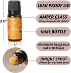 Folkulture Fall is in The Air Essential Oils Set of 6 | Diffuser Fragrance Oils - Image 5
