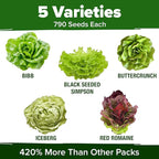 HOME GROWN Lettuce Seeds 5 Variety Mix 3950+ Bulk Pack Heirloom Non-GMO - Image 3
