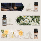 SALUBRITO Hotel Fragrance Oil Set, Luxury Essential Oil Set - Image 2
