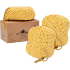 myHomeBody Bath Sponge, Foam Loofah, Body Scrubber by myHomeBody