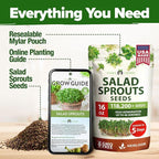 HOME GROWN Premium Sprouting Seeds Mix - Image 8