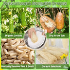 11.8 inches Natural Loofah Sponges Pack of 6, - Image 5