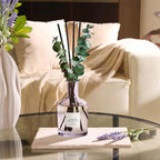 COCORRÍNA Lavender Eucalyptus Reed Diffuser – 6.76 oz Essential Oil - Image 6