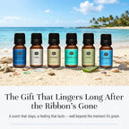 P&J Trading Fragrance Oil Surf & Sand Set | Salty Sea, Island Life, Seashore - Image 5