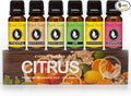 Eternal Essence Oils Citrus Set of 6 Premium Fragrance Oils by EternalEssenceOils