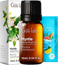 100% Pure Myrtle Essential Oil by GyaLabs
