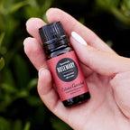 Edens Garden Rosemary- Spanish Essential Oil- 100% Pure Premium Grade, - Image 2