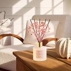 Cocorrína Premium Reed Diffuser Set - Image 4