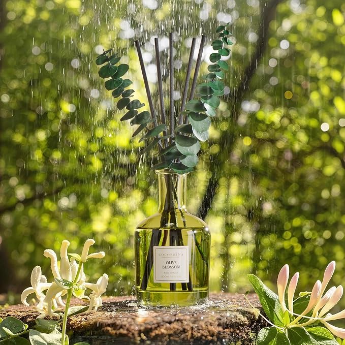 COCORRÍNA Olive Blossom Reed Diffuser – 6.76 oz Essential Oil - Image 3