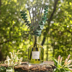 COCORRÍNA Olive Blossom Reed Diffuser – 6.76 oz Essential Oil - Image 3
