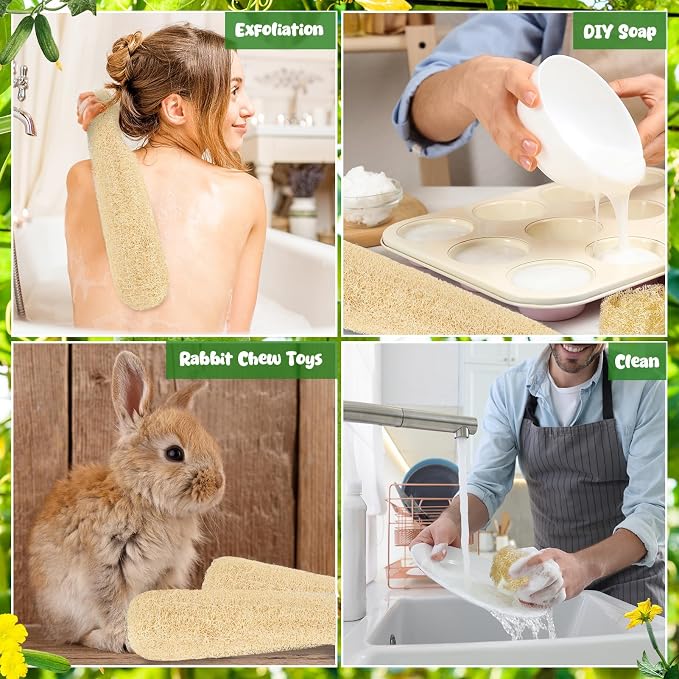 15.7-19.7 inches Natural Loofah Sponges Pack of 4 - Image 7