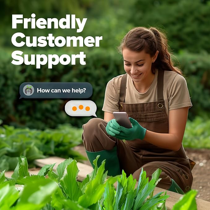 HOME GROWN Non GMO Culantro Seeds 360 Herb Seeds - Image 7