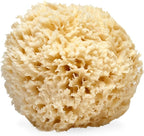 LATHER - Natural Sea Wool Sponge, 5-6" - Organic Exfoliating Body Scrubber - by LATHER