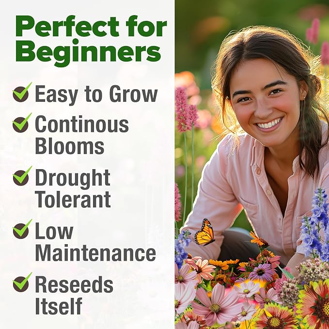 HOME GROWN Premium Monarch Butterfly Wildflower Seeds Mix - Image 4