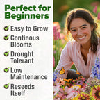 HOME GROWN Premium Monarch Butterfly Wildflower Seeds Mix - Image 4