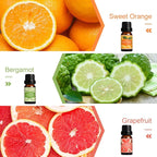 SALUBRITO Fresh Fruit Fragrance Oils Set, Essential Oils - Image 4