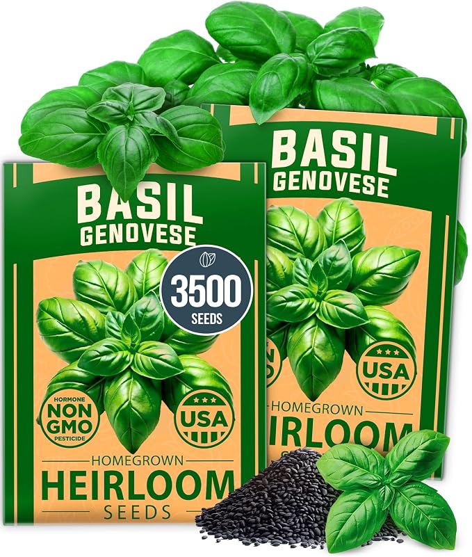 HOME GROWN Genovese Basil Seeds 2 Pack by HOMEGROWN