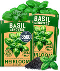 HOME GROWN Genovese Basil Seeds 2 Pack by HOMEGROWN