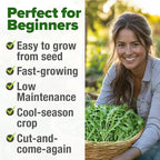 HOME GROWN Arugula Roquette Seeds 2, 175+ Heirloom Non-GMO Seeds - Image 5