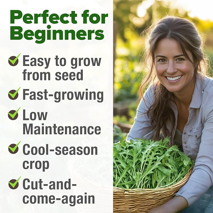 HOME GROWN Arugula Roquette Seeds 2, 175+ Heirloom Non-GMO Seeds - Image 5