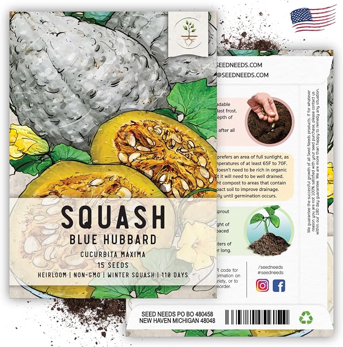 Seed Needs Blue Hubbard Winter Squash Seeds - Image 6