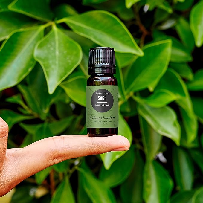 Edens Garden Sage- Dalmation Essential Oil- 100% Pure Premium Grade, Therapeutic - Image 2