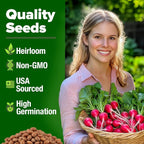 HOME GROWN Cherry Belle Radish Seeds 800+ Heirloom Non-GMO Seeds - Image 2