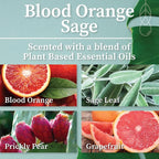 Hemlock Park Blood Orange Sage Apothecary Hand-Poured Scented Candle | - Image 2