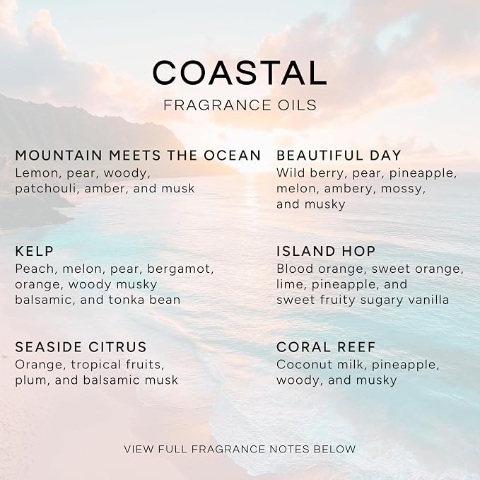 Eternal Essence Oils Coastal Set of 6 Premium Fragrance Oils - Image 2
