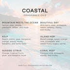 Eternal Essence Oils Coastal Set of 6 Premium Fragrance Oils - Image 2