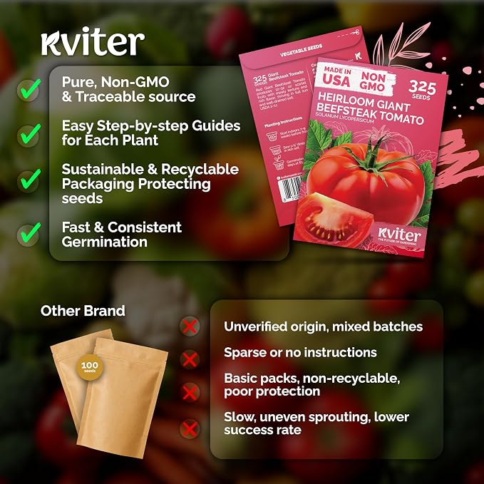 KVITER 325 Giant Beefsteak Tomatoes Seeds – Beef Steak Tomato Seed Packets - Image 5