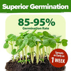 HOME GROWN 70 Variety Vegetable & Herb Seeds 32, 000+ USA Non-GMO Heirloom - Image 5