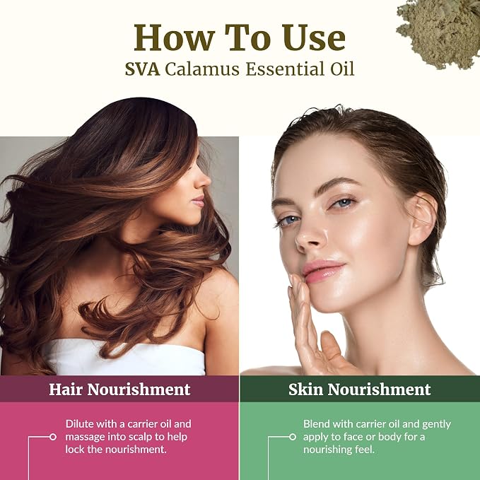 SVA Calamus Essential Oil – 1 Fl Oz – 100% Natural Calamus Oil - Image 5
