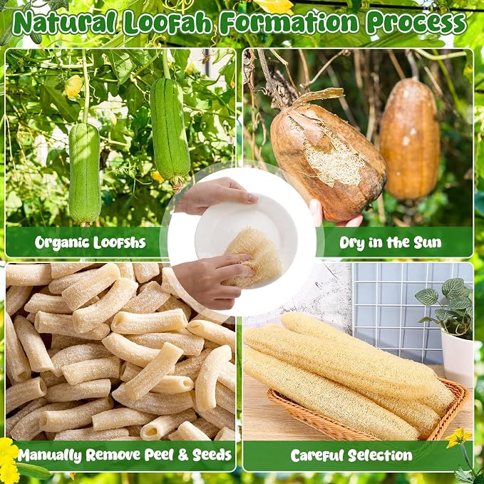 15.7-19.7 inches Natural Loofah Sponges Pack of 4 - Image 8