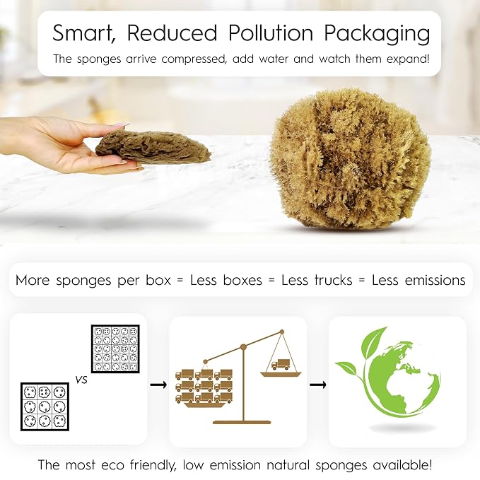 Naroa Exfoliating Natural Sponge - Image 2