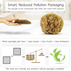 Naroa Exfoliating Natural Sponge - Image 2