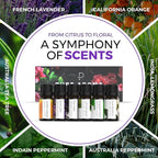 Essential Oils Set by Pure Aroma - Image 4