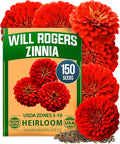 HOME GROWN Will Rogers Zinnia Seeds by HOMEGROWN