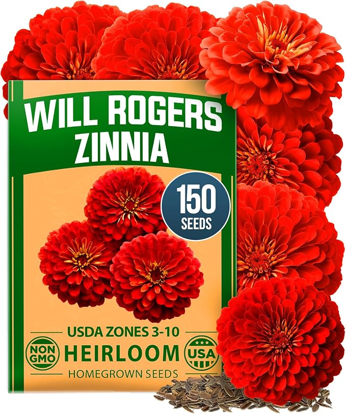 HOME GROWN Will Rogers Zinnia Seeds by HOMEGROWN